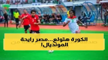 بطاقة ذهبية لمنتخب مصر.. فوز واحد يرفع التمثيل الأفريقي بنسبة 80% في مونديال 2026